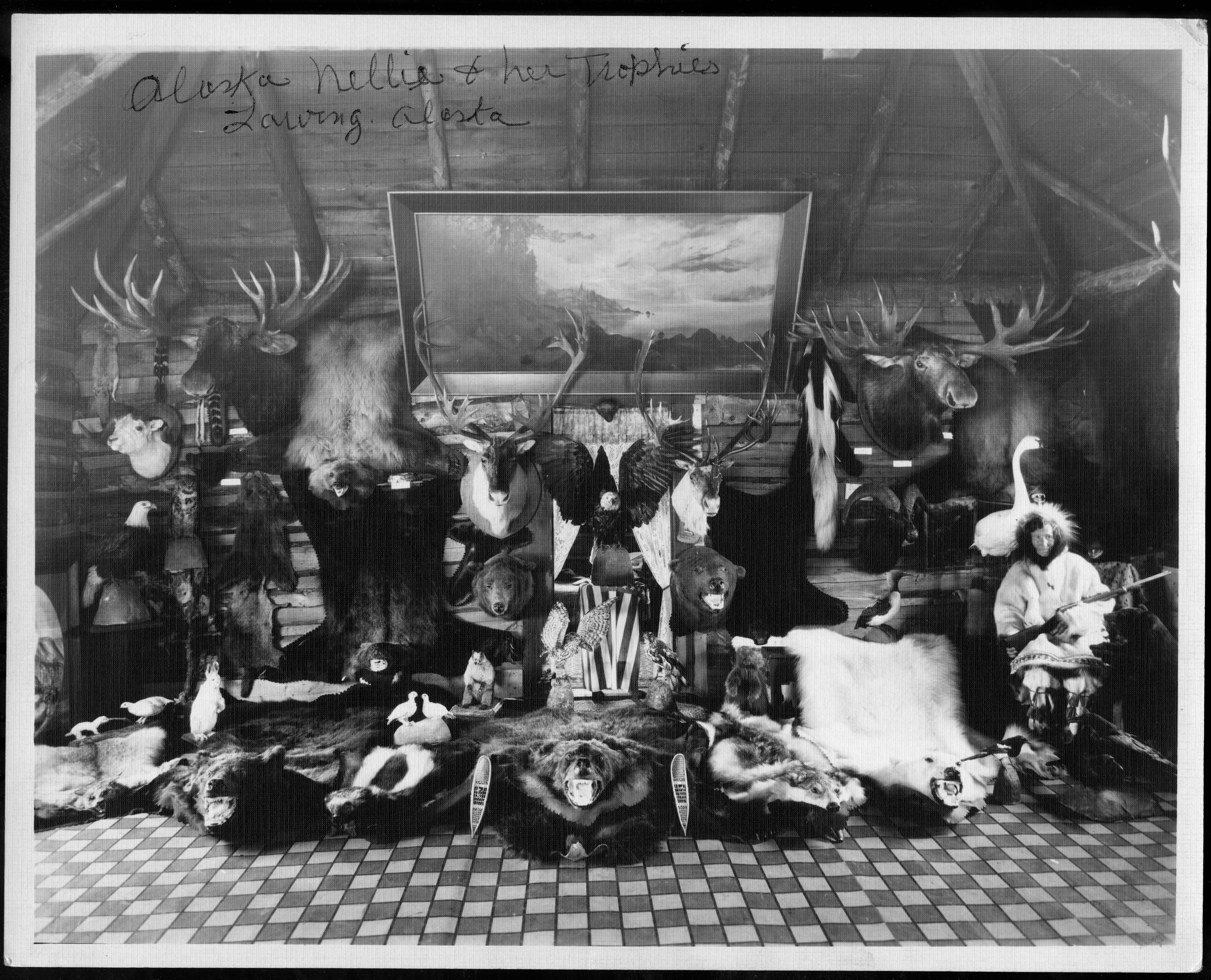 Image of Alaska Nellie and her trophies, Lawing, Alaska, n.d.