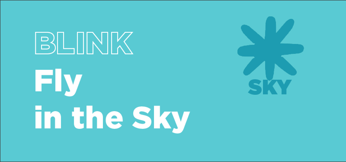 Blink At Home: Fly In The Sky - The Anchorage Museum