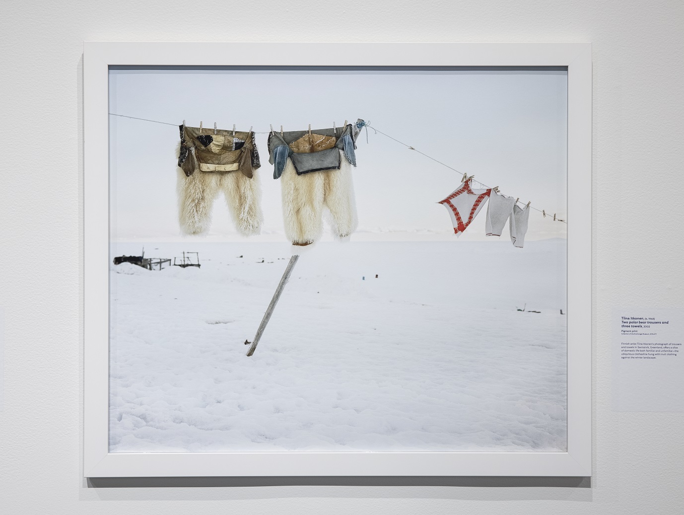 Two polar bear trousers and three towels, 2002